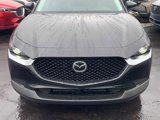 New 2025 MAZDA CX-30 AWD 2.5 S w/ Premium Package image 2