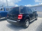 Used 2011 Ford Escape XLT w/ 202A Rapid Spec Order Code image 4