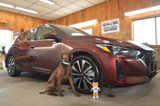 Used 2024 Nissan Sentra SV w/ SV Premium Package image 2