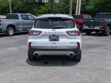 Used 2021 Ford Escape SE image 6