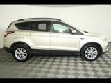 Used 2017 Ford Escape SE w/ SE Leather Comfort Package image 5
