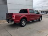 Certified 2016 Ford F150 XLT w/ Equipment Group 302A Luxury image 4