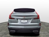 New 2025 Cadillac XT4 Premium Luxury image 4