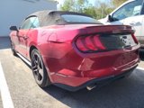 Certified 2023 Ford Mustang Premium image 4