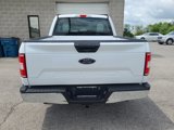 Used 2019 Ford F150 XL w/ Equipment Group 101A Mid image 4