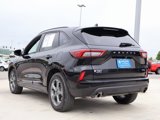 Used 2024 Ford Escape ST-Line w/ Tech Pack #1 image 3