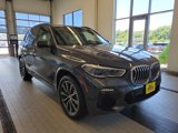 Used 2019 BMW X5 xDrive40i w/ M Sport Package image 3