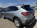 Used 2022 Ford Escape SE w/ Cold Weather Package image 5