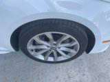 Used 2019 Audi A4 2.0T Premium Plus w/ Premium Plus Package image 2