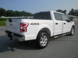 Used 2019 Ford F150 XLT image 6