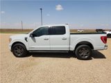Used 2023 Ford F150 XLT w/ Equipment Group 302A High image 2