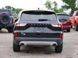 Certified 2021 Ford Escape SE w/ Convenience Package image 4