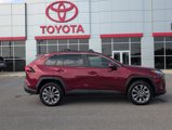 Used 2025 Toyota RAV4 XLE Premium image 6