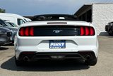Used 2021 Ford Mustang Premium image 4