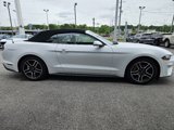 Used 2022 Ford Mustang Premium image 6