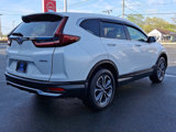 Used 2020 Honda CR-V EX-L image 4