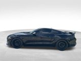 Used 2019 Ford Mustang GT Premium w/ California Special Package image 5