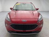 Used 2020 Ford Escape Titanium image 4