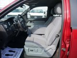 Used 2013 Ford F150 XLT w/ Luxury Equipment Group image 2