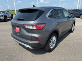 Used 2022 Ford Escape SE image 5