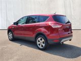 Used 2015 Ford Escape SE image 3