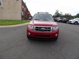 Used 2011 Ford Escape XLT w/ 203A Rapid Spec Order Code image 3