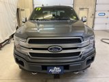 Used 2019 Ford F150 Platinum image 2