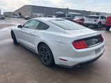 Used 2019 Ford Mustang Coupe w/ Equipment Group 101A image 2