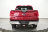 Used 2015 Ford F150 XLT w/ Equipment Group 302A Luxury image 6