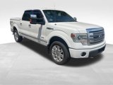 Used 2013 Ford F150 Platinum image 1