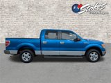 Used 2010 Ford F150 XLT image 3