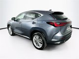 Certified 2025 Lexus NX 350 AWD w/ Premium Package image 5
