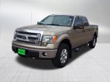 Used 2013 Ford F150 XLT w/ Luxury Equipment Group image 2