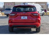 Used 2024 Ford Escape ST-Line w/ Tech Pack #1 image 4