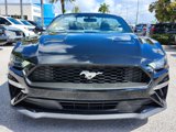 Used 2019 Ford Mustang Premium image 2
