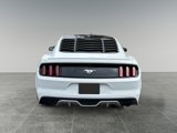 Used 2016 Ford Mustang Premium image 6