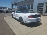 Certified 2023 Ford Mustang Premium image 3