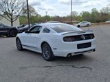 Used 2014 Ford Mustang Premium w/ Equipment Group 203A image 4