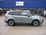 Used 2017 Subaru Forester 2.5i Premium w/ Protection Package #1 image 4