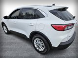 Used 2022 Ford Escape SE image 5