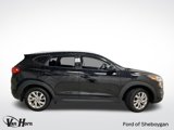 Used 2019 Hyundai Tucson Value image 2