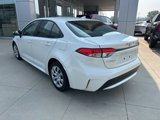 Used 2020 Toyota Corolla LE image 5