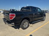 Used 2014 Ford F150 XLT w/ Equipment Group 302A Luxury image 3