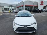 Certified 2024 Toyota Corolla LE image 2