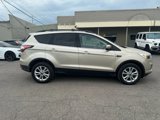 Used 2017 Ford Escape SE w/ SE Cold Weather Package image 5