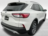 Used 2020 Ford Escape SEL image 5