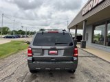 Used 2011 Ford Escape XLT w/ 202A Rapid Spec Order Code image 4