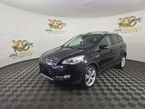 Used 2013 Ford Escape Titanium w/ Parking Technology Pkg image 3