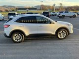Used 2022 Ford Escape SE image 5