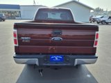Used 2010 Ford F150 XLT image 5